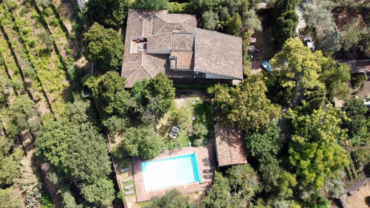 Il Palmento Villa Santa Venerina Buitenkant foto